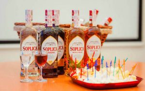 Соплица