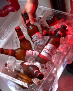 Пиво Budweiser Пиво Budweiser